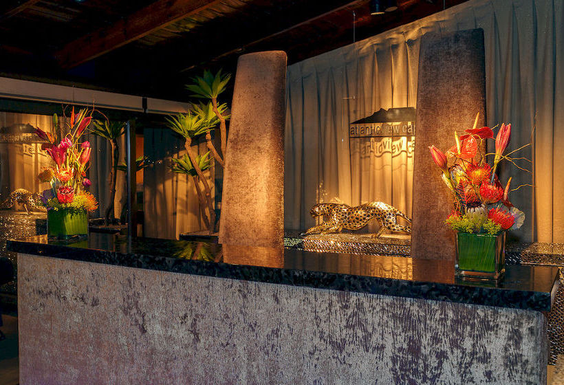 Pensión Atlanticview Capetown 18