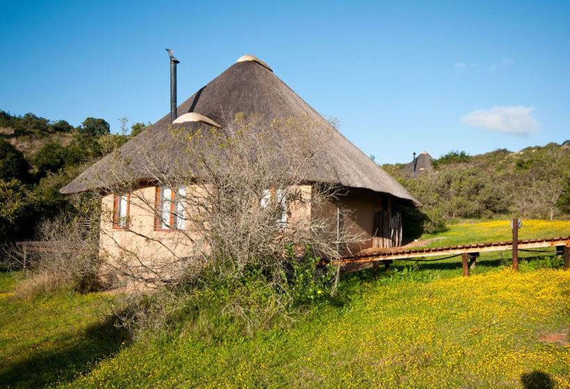 Hotel Amakhala Game Reserve - Bukela Game Lodge 15