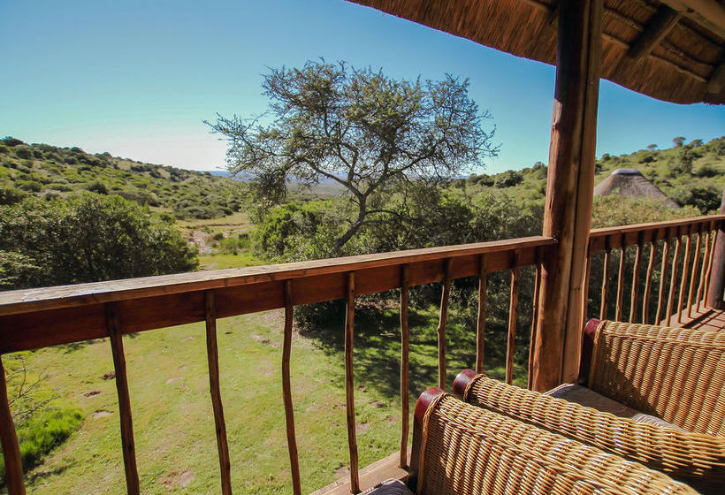 Hotel Amakhala Game Reserve - Bukela Game Lodge 16