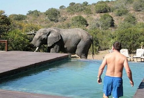 Hotel Amakhala Game Reserve - Bukela Game Lodge 18