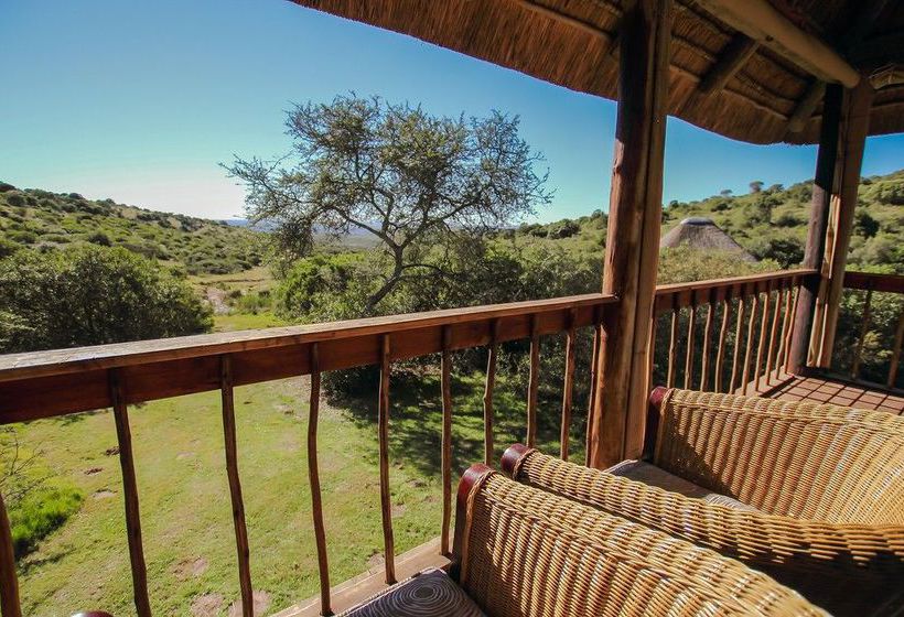 Hotel Amakhala Game Reserve - Bukela Game Lodge 8