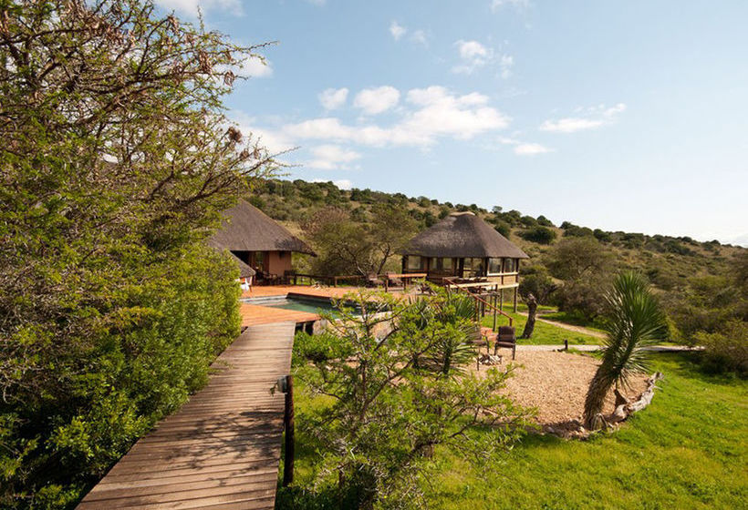 Hotel Amakhala Game Reserve - Bukela Game Lodge 9