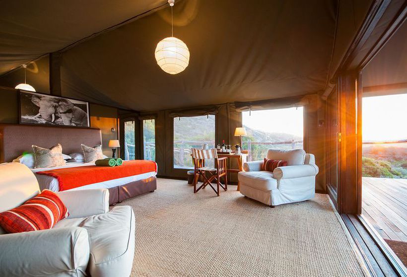 Hotel Amakhala Game Reserve - Hillsnek Safaris 1