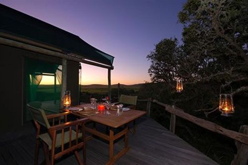Hotel Amakhala Game Reserve - Hillsnek Safaris 18