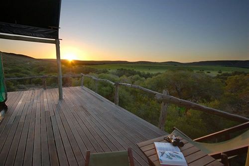 Hotel Amakhala Game Reserve - Hillsnek Safaris 20