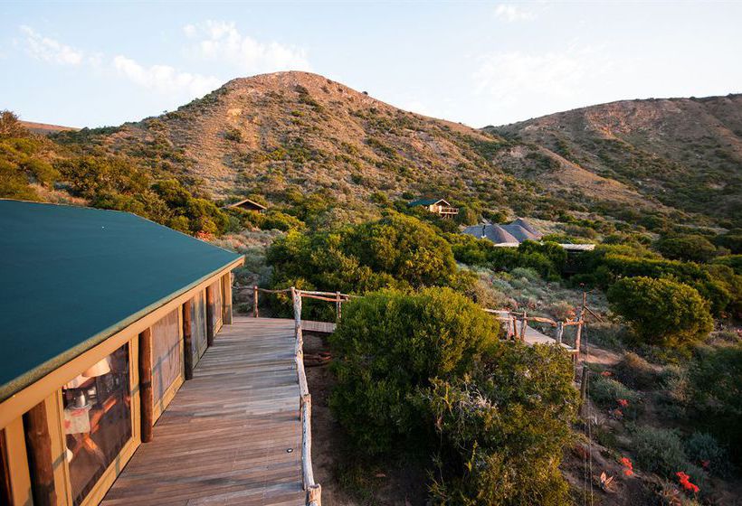 Hotel Amakhala Game Reserve - Hillsnek Safaris 4