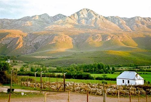 Bed and Breakfast Swartberg Country Manor 9