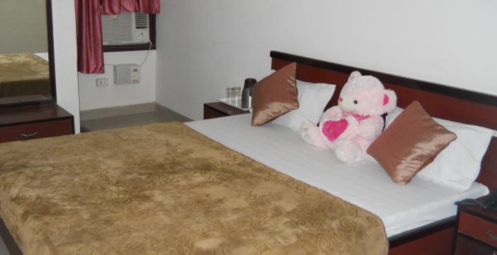 Hotel Gayatri Palace 13