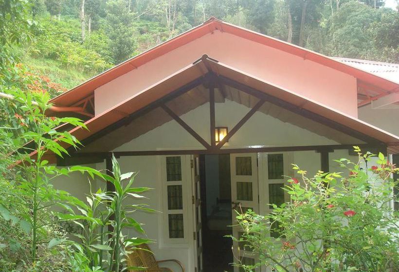 Hotel Olive Brook 12