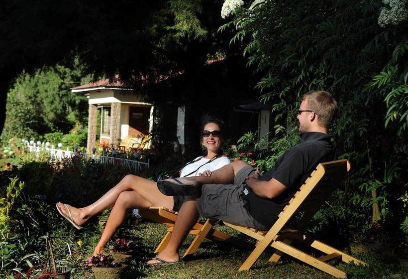 Hotel Olive Brook 16