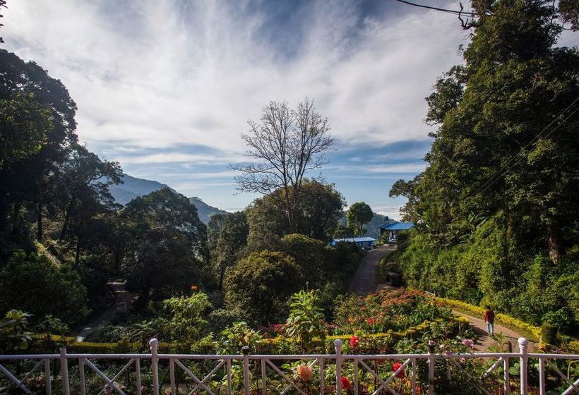 Hotel Olive Brook 17