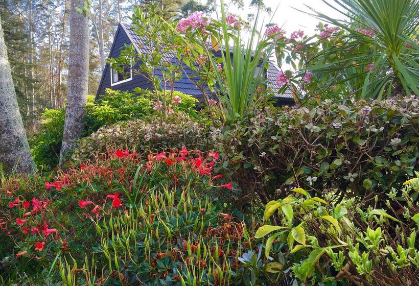 Abilene Motel Kerikeri