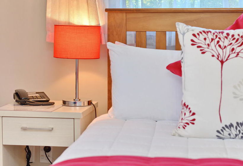 Addington Court Motel 15