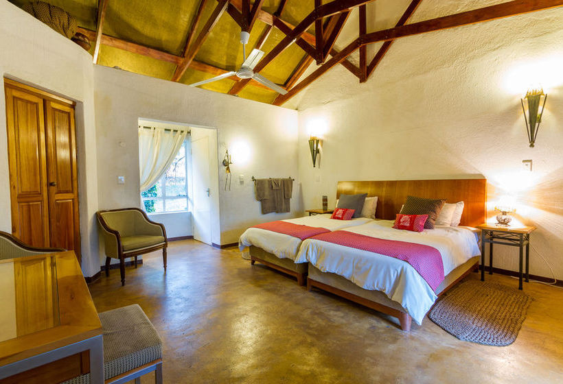 Hotel Gecko Lodge 17