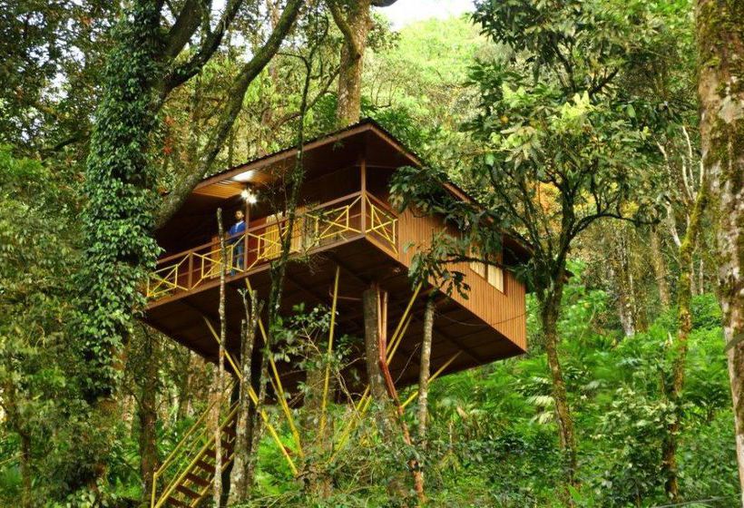 Hotel Seven Springs Plantation Resort 3