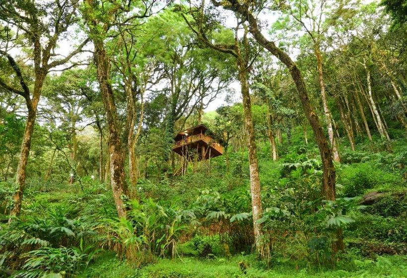 Hotel Seven Springs Plantation Resort 4