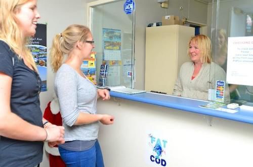 Hostel Fat Cod Backpackers 7