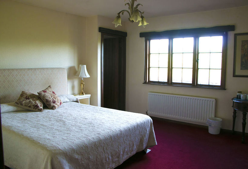 Hotel Honest Lawyer 11