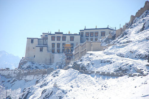 Hotel The Auspicious 17