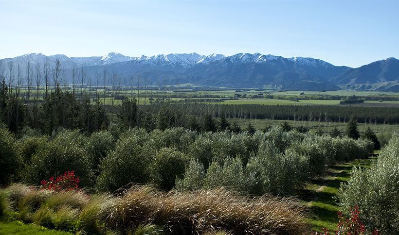 Bed and Breakfast Amuri Estate Retreat