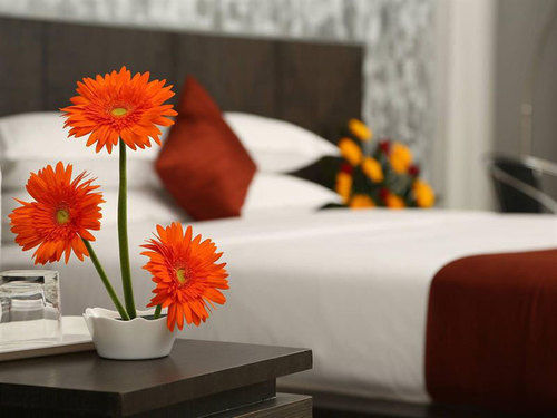 Hotel Gold Ray Residency 10