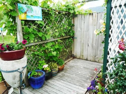 Motel Coromandel Court 3