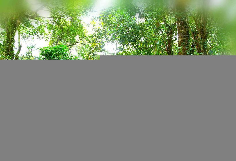 Bluebells Valley Resort - Munnar Kerala