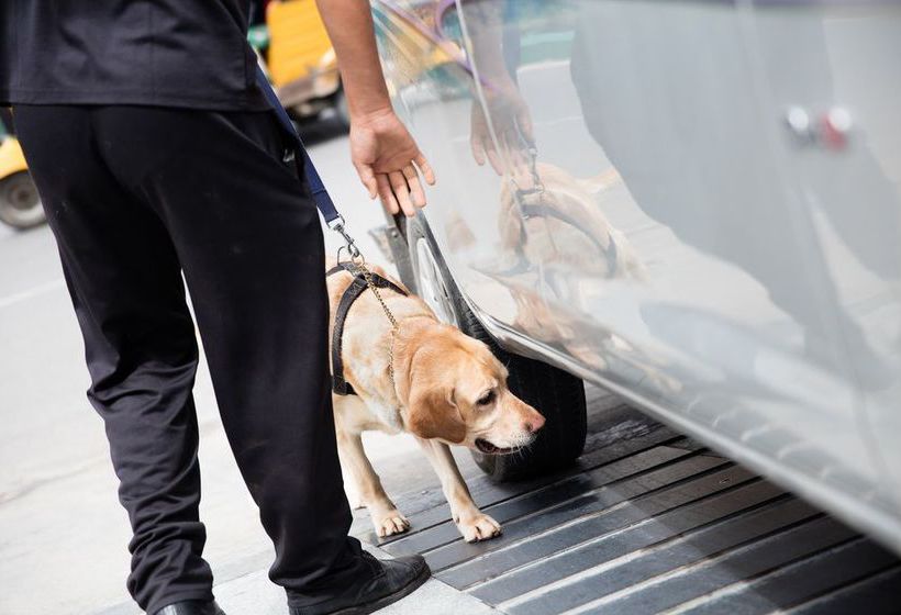 Oakwood Residence Kapil Hyderabad 8