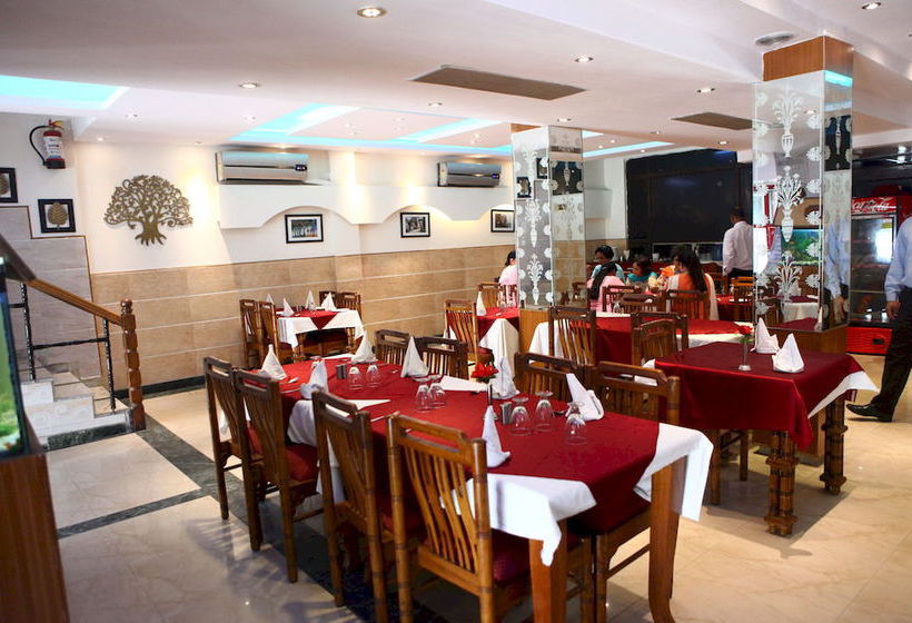 Hotel Ekant Chail 12