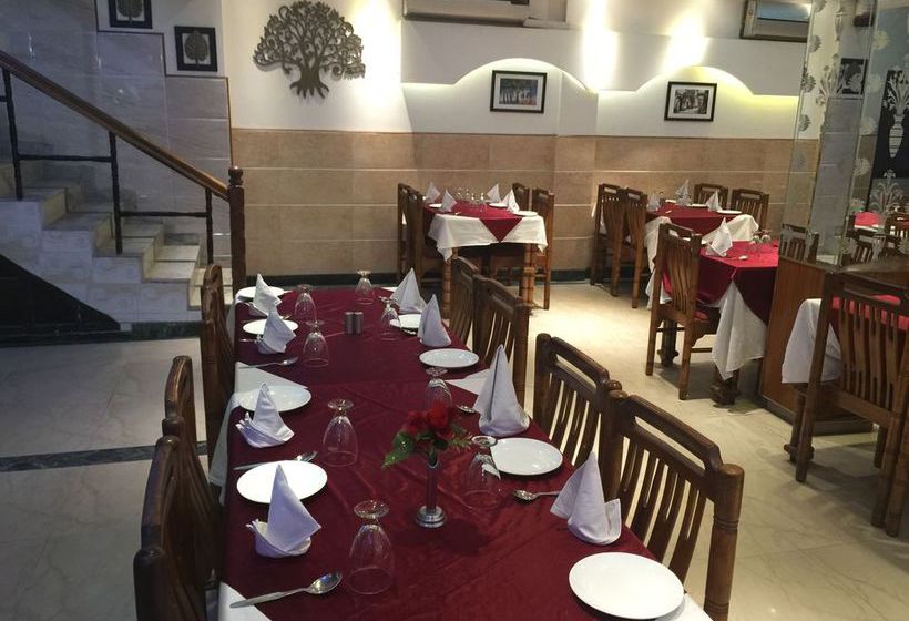 Hotel Ekant Chail 14