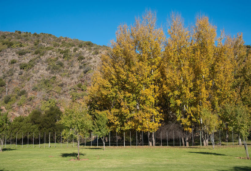 Hotel Old Mill Lodge & A La Carte Restaurant 17