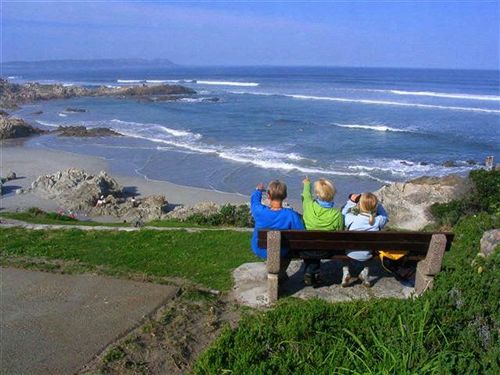 Bed and Breakfast Milkwood Lodge 3