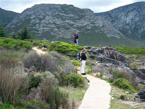 Bed and Breakfast Milkwood Lodge 6