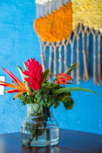 Zen House Ubatuba Hostel  | Ubatuba | São Paulo | Brasil 10