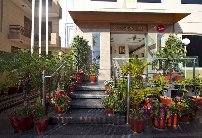 Inn Oyo Premium Medanta 2 1