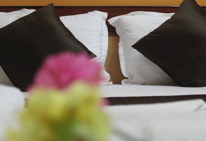 Hotel Vinayak Inn 12