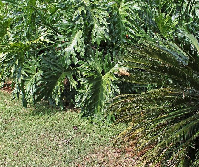 Pension Lincoln Cottages 8