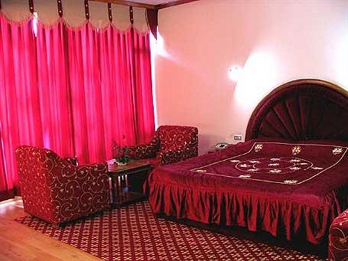 Hotel Glacier Resort 7