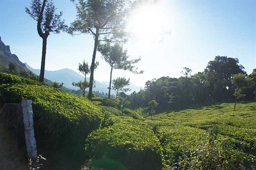 Misty Courtyard Resort Bungalow 15