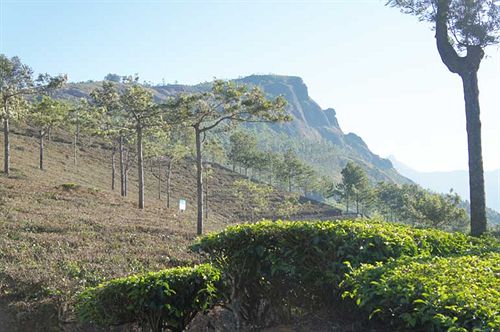 Misty Courtyard Resort Bungalow 16