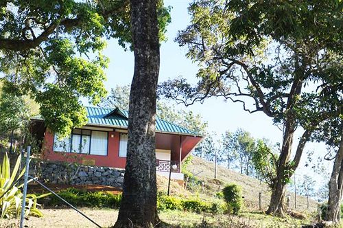 Misty Courtyard Resort Bungalow 3