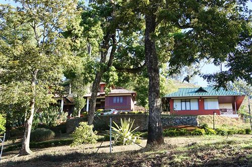 Misty Courtyard Resort Bungalow 7