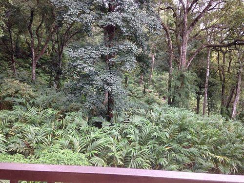 Hotel Spice Jungle Resort 9