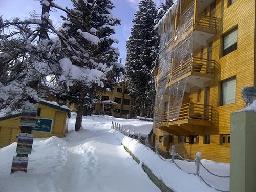 Hotel Pine Spring Gulmarg 10