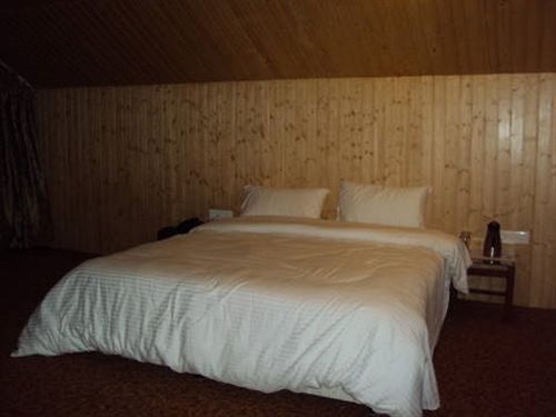 Hotel Pine Spring Gulmarg 5