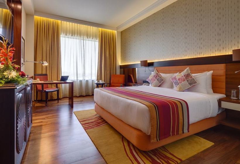 Hotel Balaji Sarovar Premiere 2