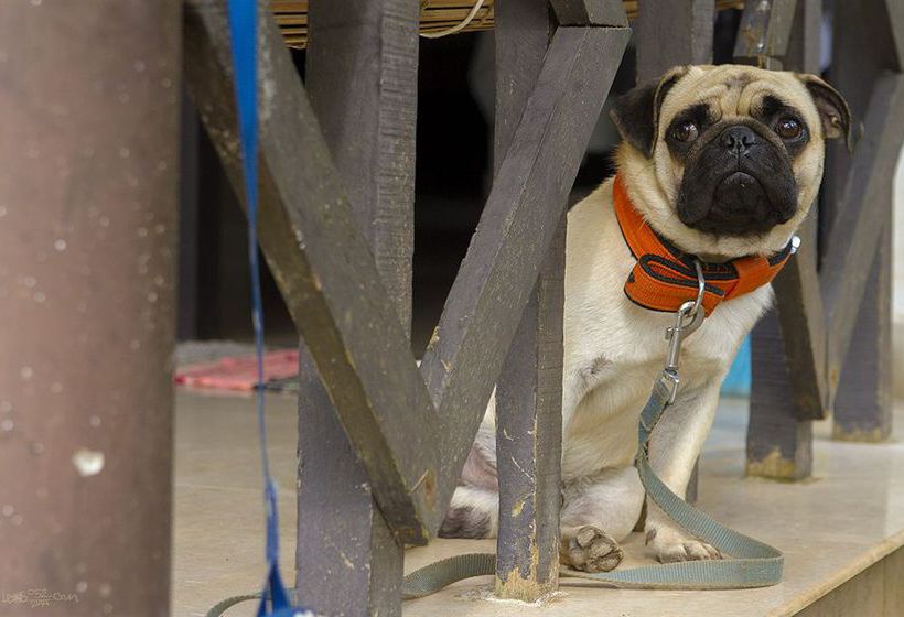 Pension Magnolia Guest House 11