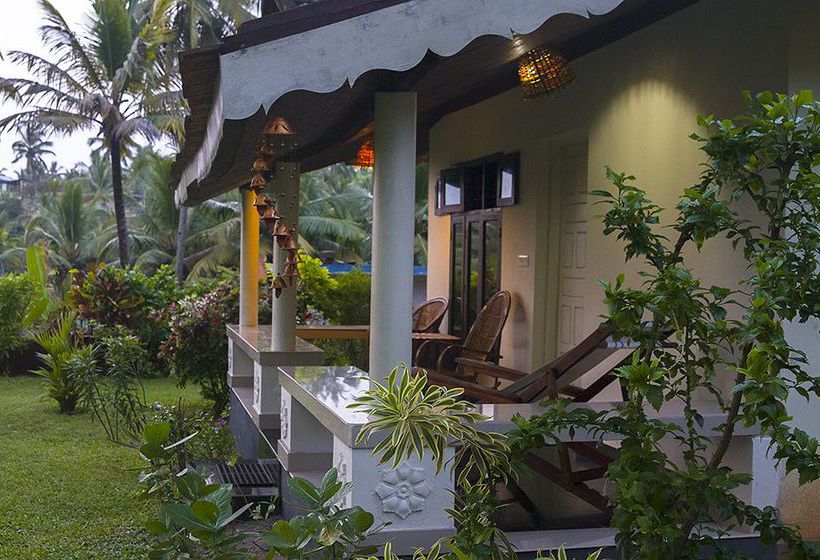 Pension Magnolia Guest House 16