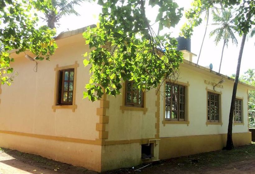 Pension Munches Guesthouse 4