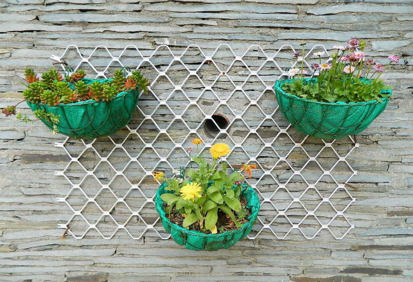 Hotel The Woodstock Resort 2